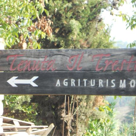 Tenuta Il Tresto Poggibonsi Zewnętrze zdjęcie
