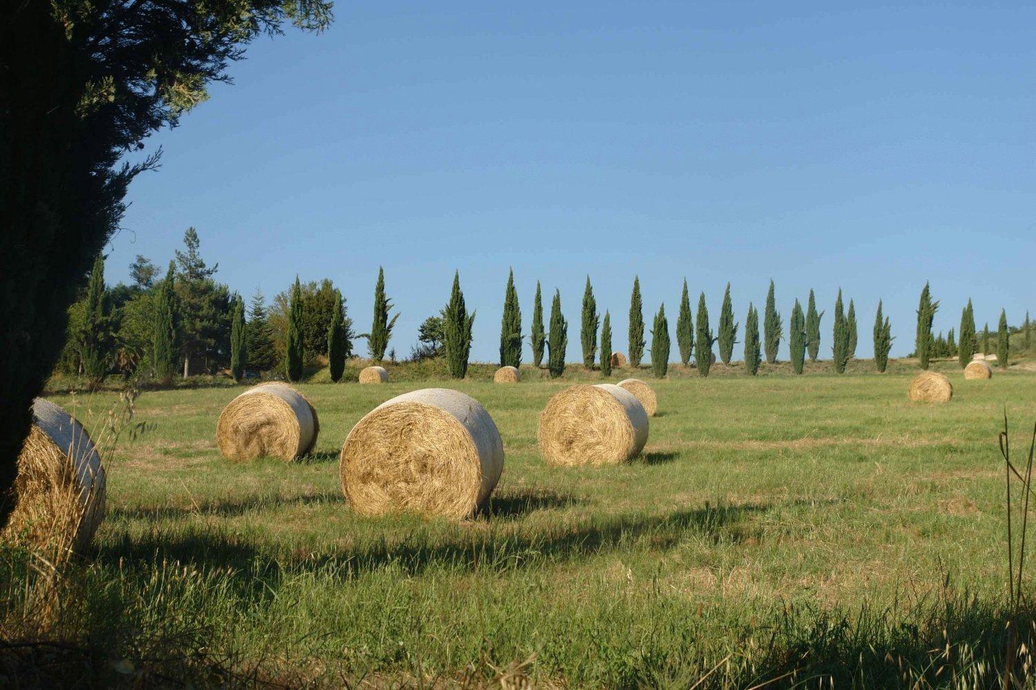 Tenuta Il Tresto Poggibonsi Zewnętrze zdjęcie