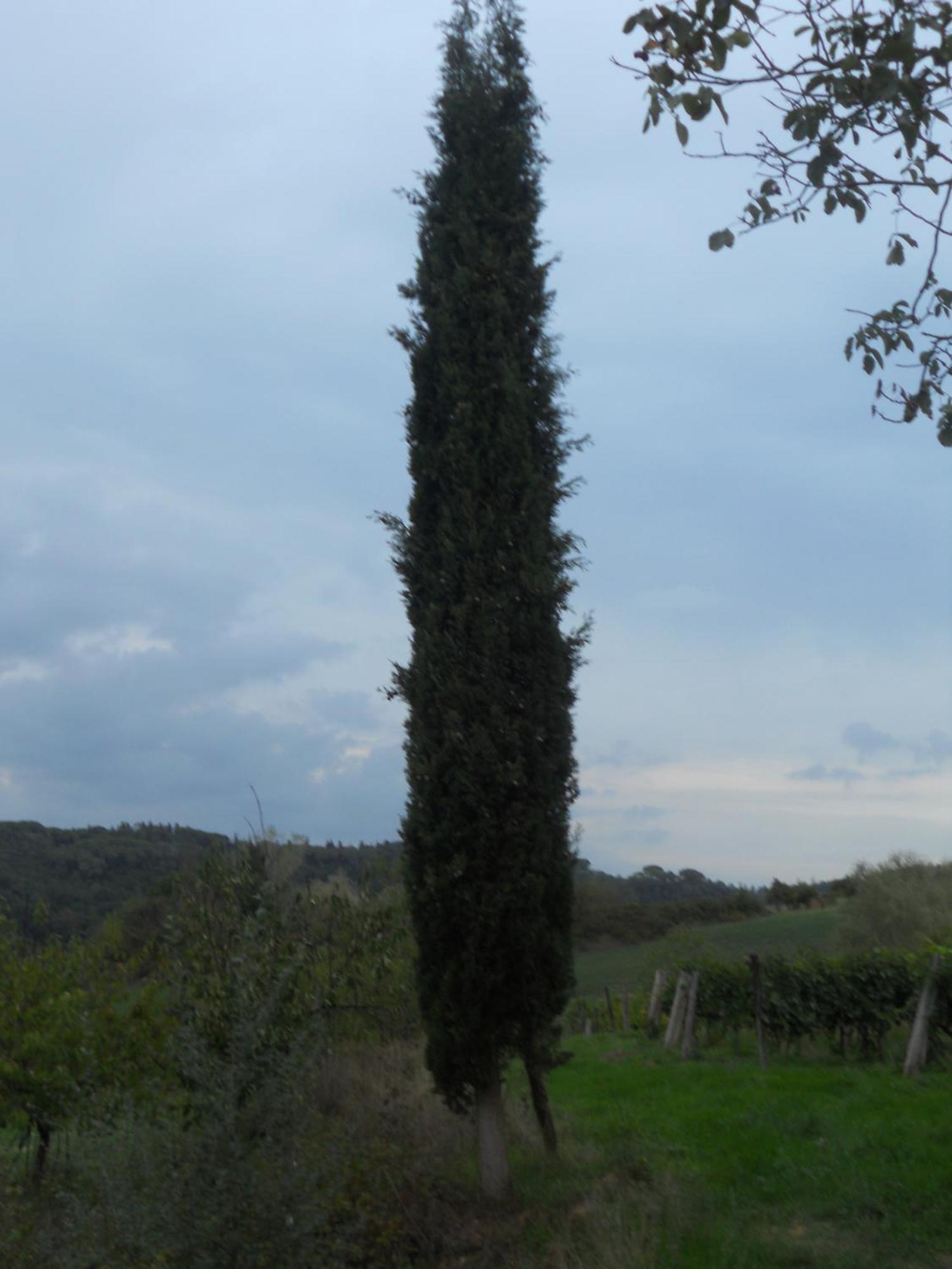 Tenuta Il Tresto Poggibonsi Zewnętrze zdjęcie