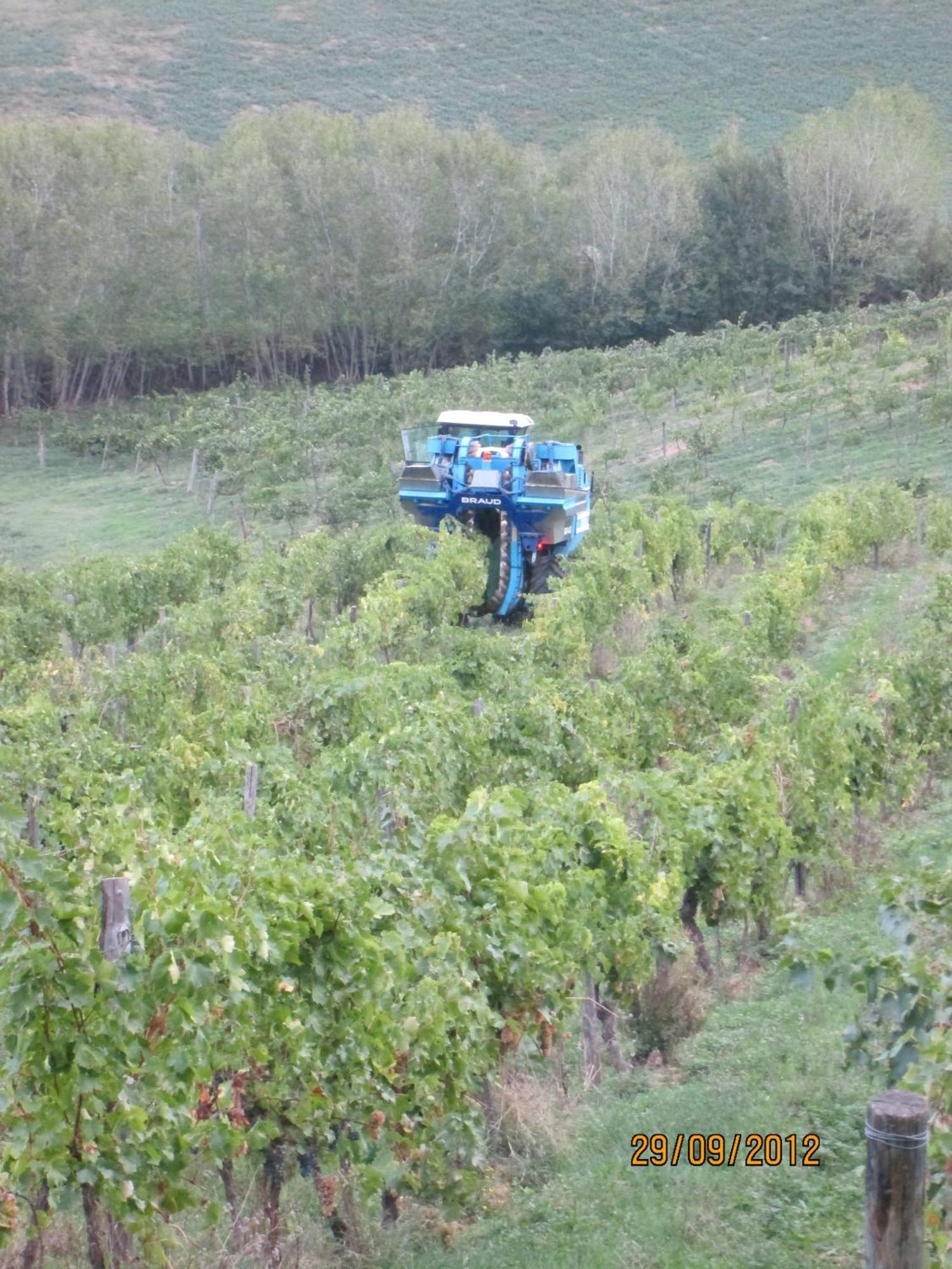 Tenuta Il Tresto Poggibonsi Zewnętrze zdjęcie