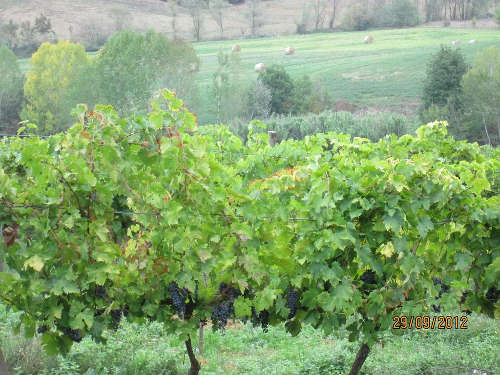 Tenuta Il Tresto Poggibonsi Zewnętrze zdjęcie