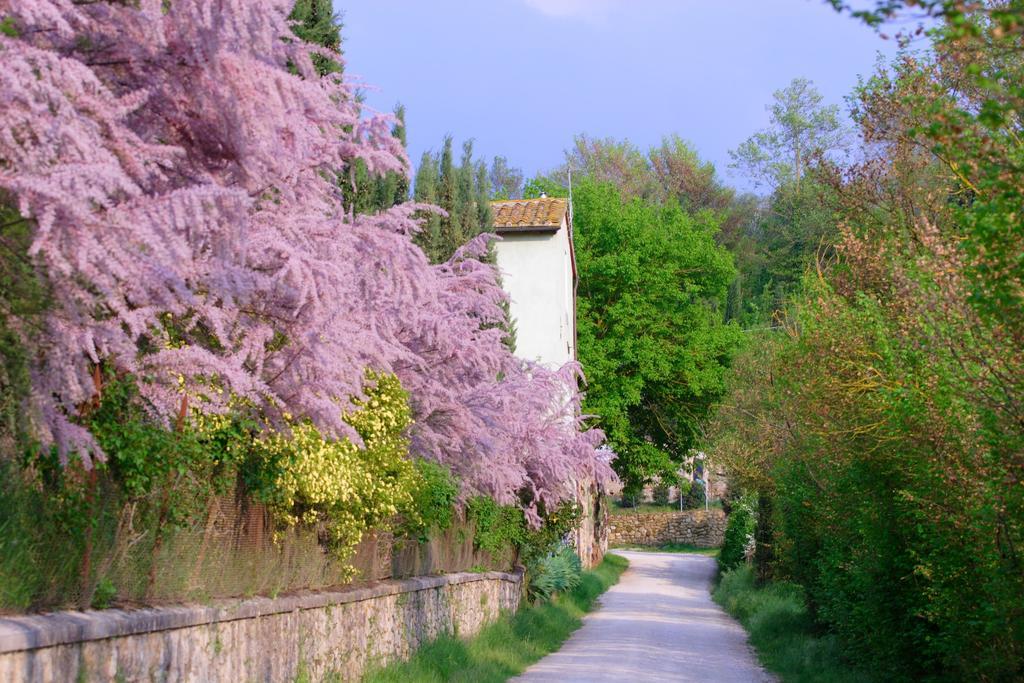 Tenuta Il Tresto Poggibonsi Zewnętrze zdjęcie
