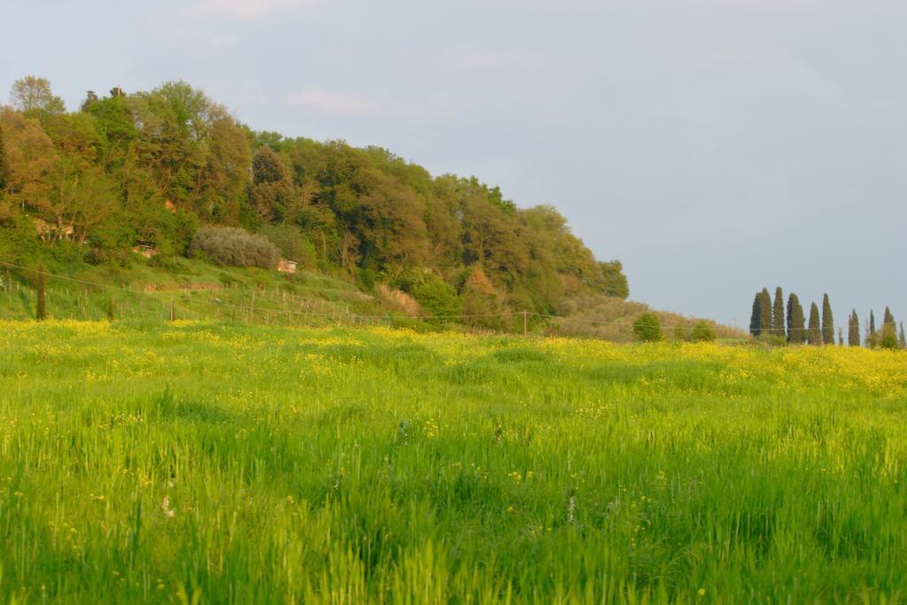 Tenuta Il Tresto Poggibonsi Zewnętrze zdjęcie