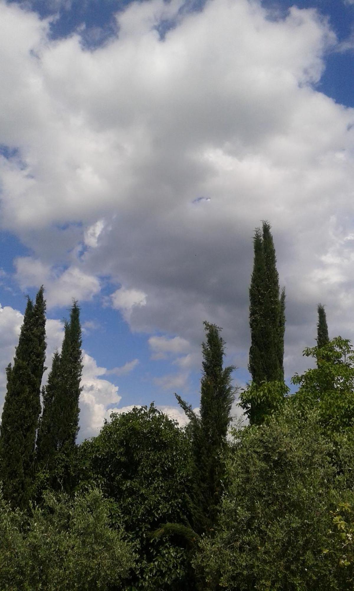 Tenuta Il Tresto Poggibonsi Zewnętrze zdjęcie